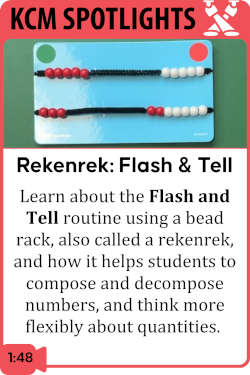 Using the Rekenrek: Flash and Tell